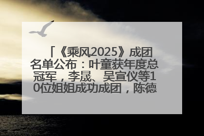 《乘风2025》成团名单公布：叶童获年度总冠军，李晟、吴宣仪等10位姐姐成功成团，陈德容获年度高光人物