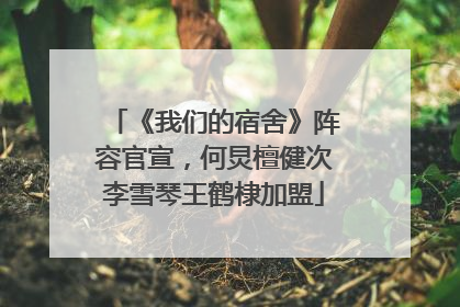 《我们的宿舍》阵容官宣，何炅檀健次李雪琴王鹤棣加盟