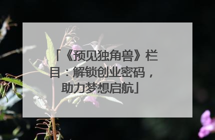 《预见独角兽》栏目：解锁创业密码，助力梦想启航