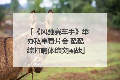 《风驰赛车手》举办私享看片会 酷酷综打响体综突围战