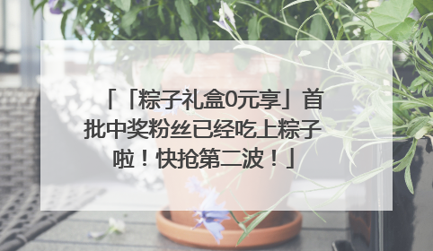 「粽子礼盒0元享」首批中奖粉丝已经吃上粽子啦！快抢第二波！
