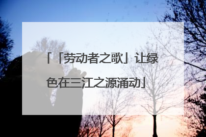 「劳动者之歌」让绿色在三江之源涌动