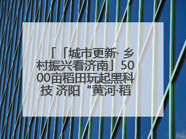 「城市更新· 乡村振兴看济南」5000亩稻田玩起黑科技 济阳“黄河·稻乡湾”靠“非遗+露营”火出圈
