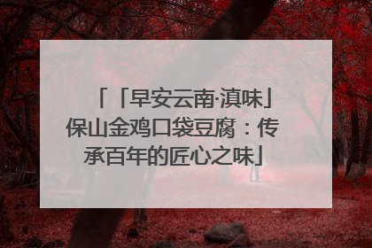 「早安云南·滇味」保山金鸡口袋豆腐：传承百年的匠心之味