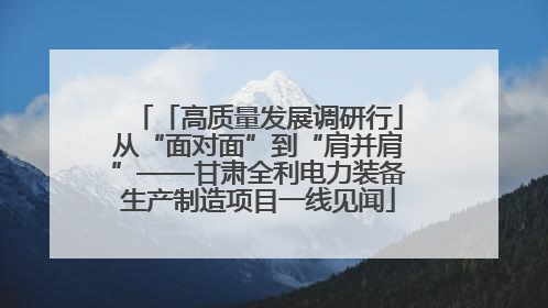 「高质量发展调研行」从“面对面”到“肩并肩”——甘肃全利电力装备生产制造项目一线见闻