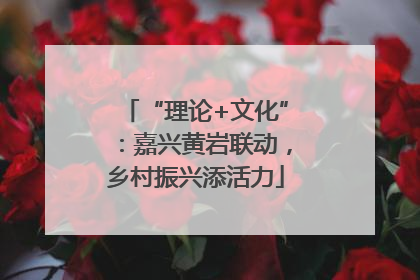 “理论+文化”：嘉兴黄岩联动，乡村振兴添活力