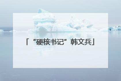 “硬核书记”韩文兵