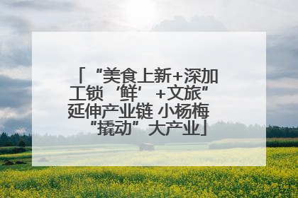 “美食上新+深加工锁‘鲜’+文旅”延伸产业链 小杨梅“撬动”大产业