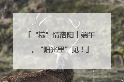 “粽”情洛阳丨端午，“阳光里”见！