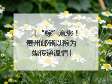 “粽”意您！贵州邮储以粽为媒传递温情
