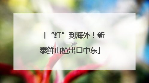 “红”到海外！新泰鲜山楂出口中东
