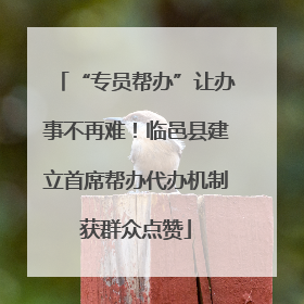“专员帮办”让办事不再难！临邑县建立首席帮办代办机制获群众点赞