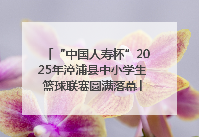 “中国人寿杯”2025年漳浦县中小学生篮球联赛圆满落幕