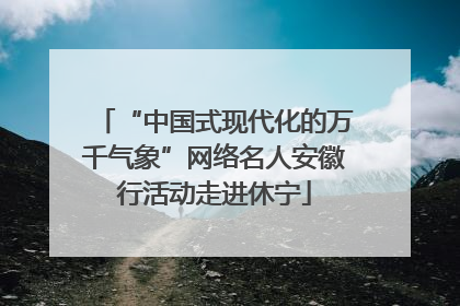 “中国式现代化的万千气象”网络名人安徽行活动走进休宁