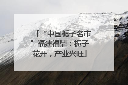 “中国栀子名市”福建福鼎：栀子花开，产业兴旺