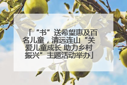 “书”送希望惠及百名儿童，清远连山“关爱儿童成长 助力乡村振兴”主题活动举办