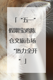 “五一”假期宝鸡陈仓文旅市场“热力全开”