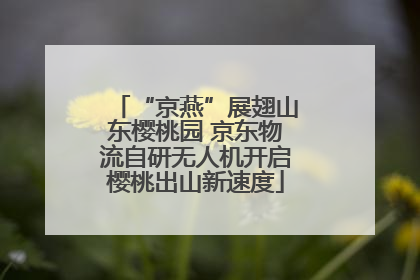 “京燕”展翅山东樱桃园 京东物流自研无人机开启樱桃出山新速度