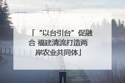 “以台引台”促融合 福建清流打造两岸农业共同体