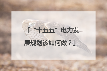 “十五五”电力发展规划该如何做？