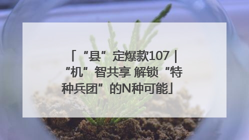 “县”定爆款107｜“机”智共享 解锁“特种兵团”的N种可能
