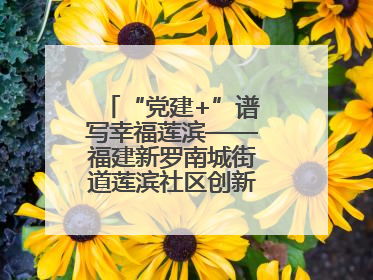 “党建+”谱写幸福莲滨——福建新罗南城街道莲滨社区创新治理模式探访