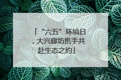 “六五”环境日，大兴廊坊携手共赴生态之约