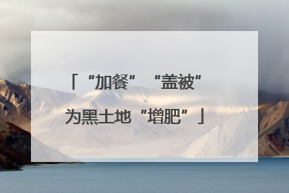 “加餐”“盖被” 为黑土地“增肥”