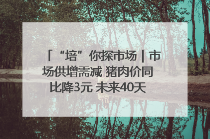 “培”你探市场｜市场供增需减 猪肉价同比降3元 未来40天便宜猪肉敞开吃