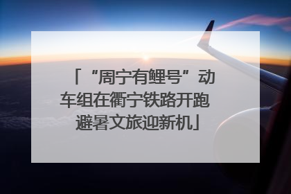 “周宁有鲤号”动车组在衢宁铁路开跑 避暑文旅迎新机
