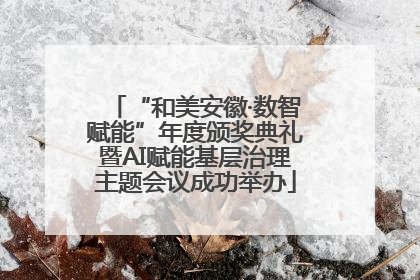 “和美安徽·数智赋能”年度颁奖典礼暨AI赋能基层治理主题会议成功举办