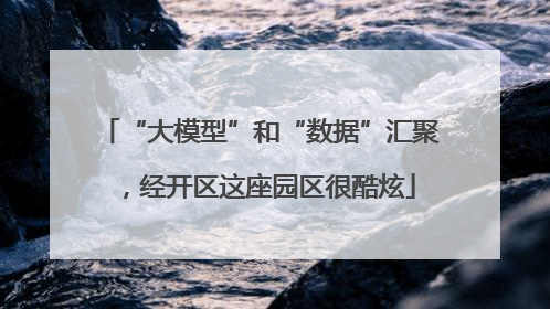 “大模型”和“数据”汇聚，经开区这座园区很酷炫