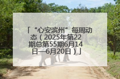 “心安滨州”每周动态（2025年第22期总第55期6月14日—6月20日）
