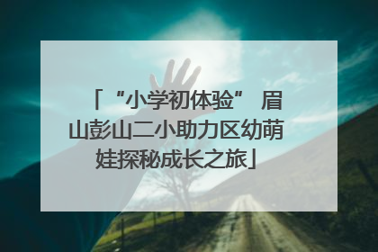 “小学初体验” 眉山彭山二小助力区幼萌娃探秘成长之旅