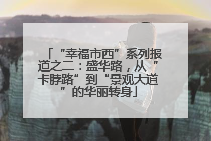 “幸福市西”系列报道之二：盛华路，从“卡脖路”到“景观大道”的华丽转身