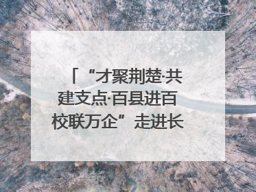 “才聚荆楚·共建支点·百县进百校联万企”走进长江大学文理学院