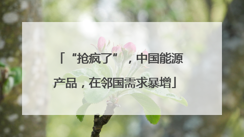 “抢疯了”，中国能源产品，在邻国需求暴增