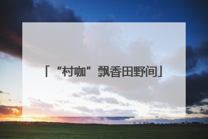 “村咖”飘香田野间