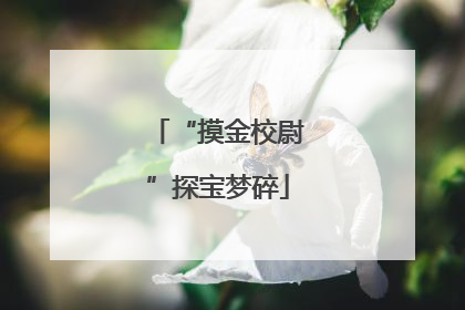 “摸金校尉”探宝梦碎