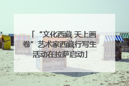 “文化西藏 天上画卷”艺术家西藏行写生活动在拉萨启动