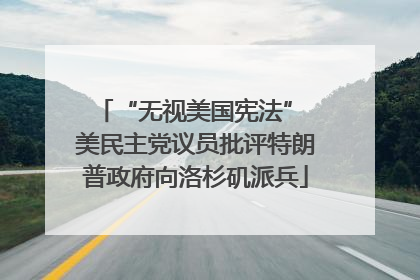 “无视美国宪法” 美民主党议员批评特朗普政府向洛杉矶派兵