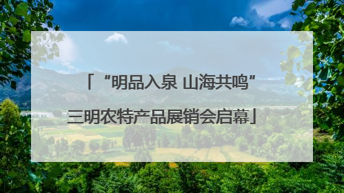 “明品入泉 山海共鸣”三明农特产品展销会启幕