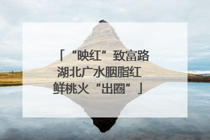 “映红”致富路 湖北广水胭脂红鲜桃火“出圈”