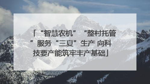 “智慧农机”“整村托管”服务“三夏”生产 向科技要产能筑牢丰产基础