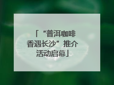 “普洱咖啡 香遇长沙”推介活动启幕