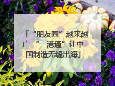 “朋友圈”越来越广 “一港通”让中国制造无缝出海