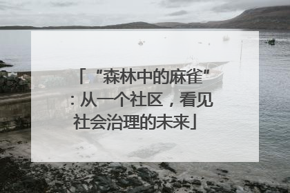 “森林中的麻雀”：从一个社区，看见社会治理的未来
