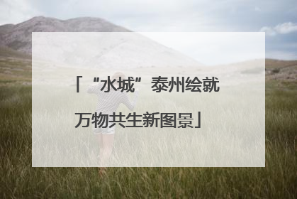 “水城”泰州绘就万物共生新图景