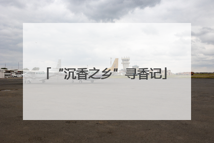 “沉香之乡”寻香记
