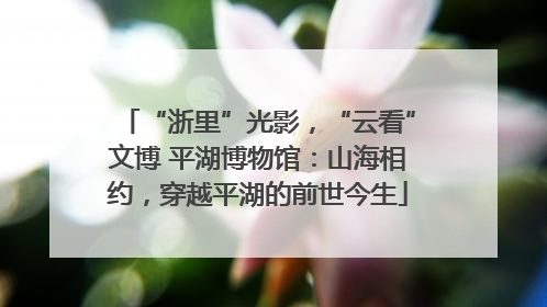 “浙里”光影，“云看”文博 平湖博物馆：山海相约，穿越平湖的前世今生